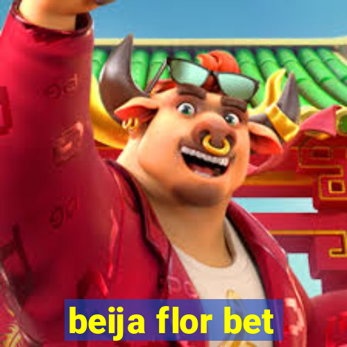 beija flor bet